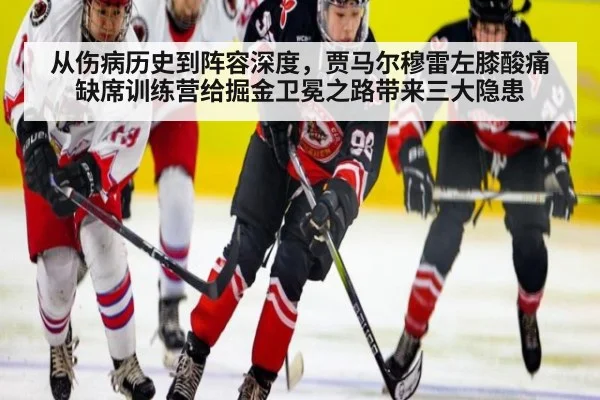 从伤病历史到阵容深度，贾马尔穆雷左膝酸痛缺席训练营给掘金卫冕之路带来三大隐患