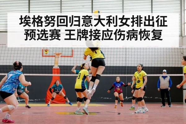 埃格努回归意大利女排出征预选赛 王牌接应伤病恢复