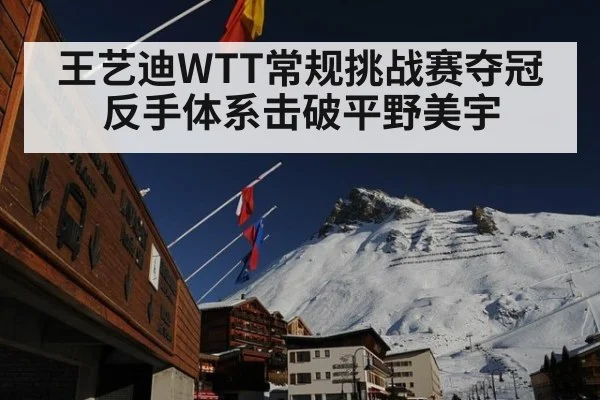 王艺迪WTT常规挑战赛夺冠 反手体系击破平野美宇