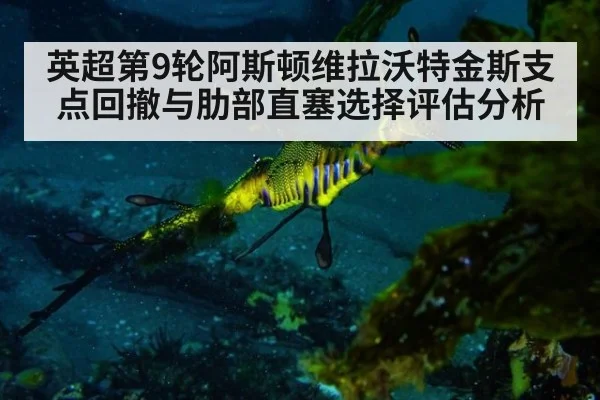 英超第9轮阿斯顿维拉沃特金斯支点回撤与肋部直塞选择评估分析
