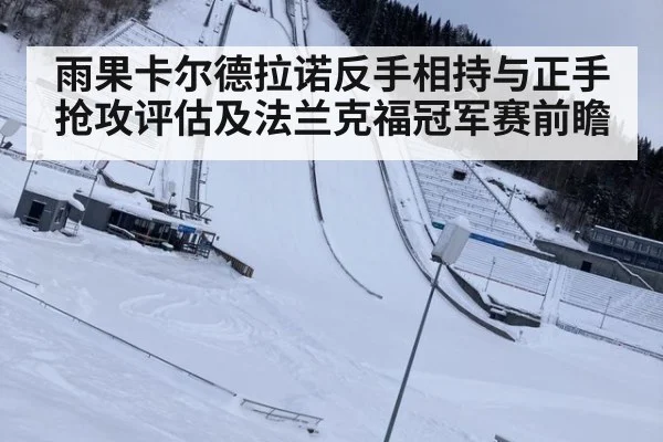 雨果卡尔德拉诺反手相持与正手抢攻评估及法兰克福冠军赛前瞻
